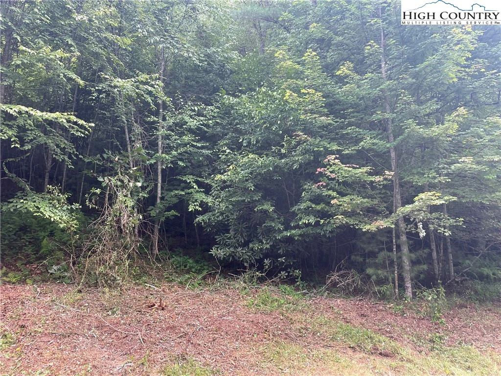 Image number 7 for the current listing