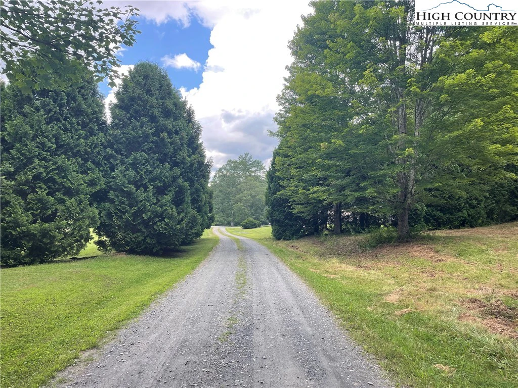 Image number 9 for the current listing