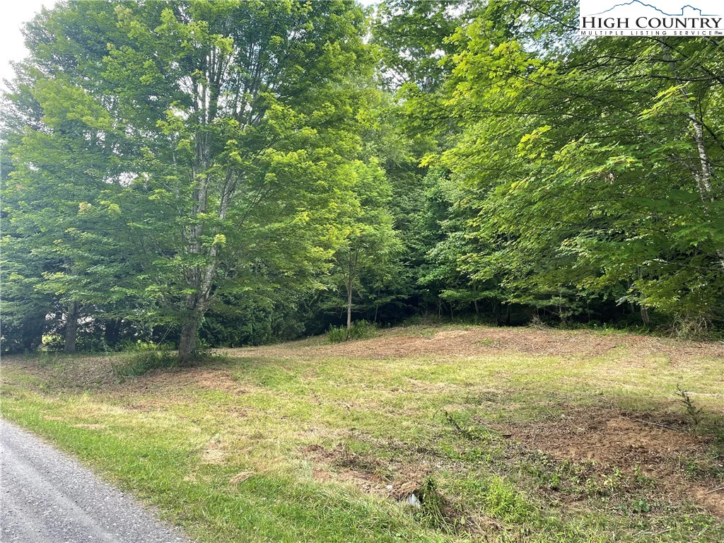 Image number 1 for the current listing
