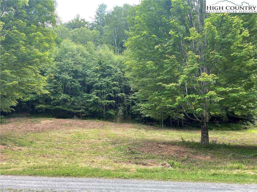 Image number 14 for the current listing
