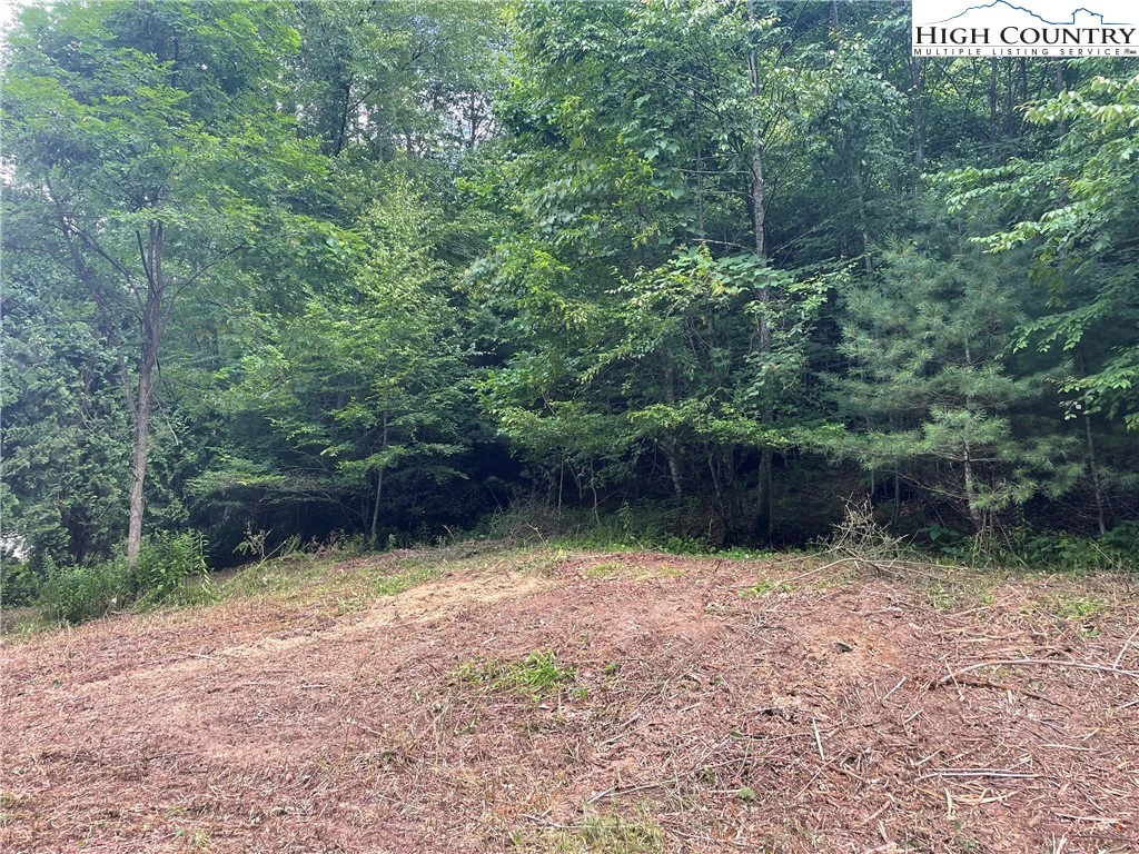 Image number 4 for the current listing