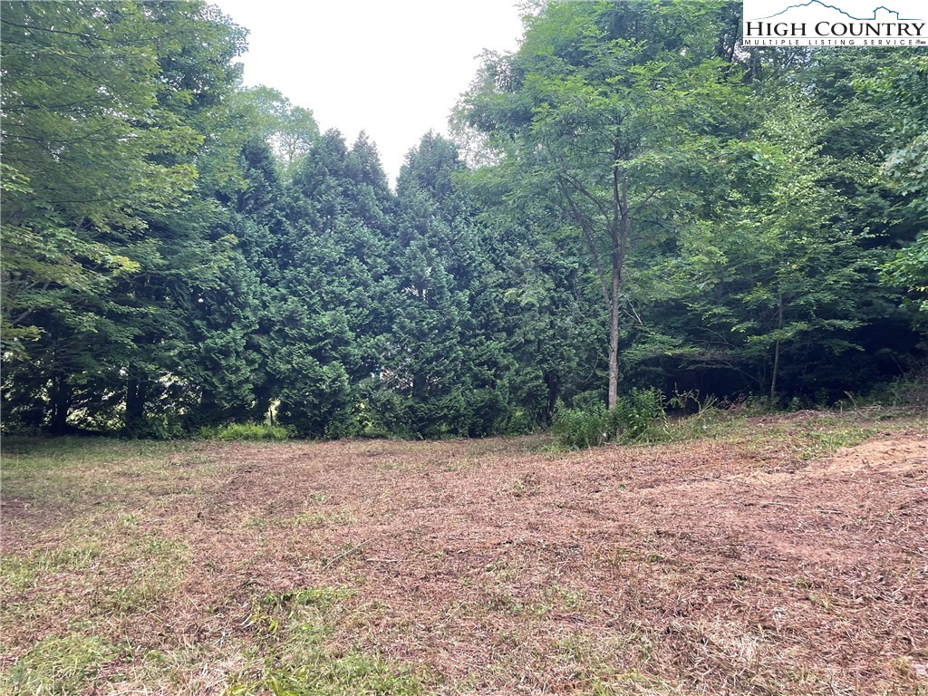 Image number 5 for the current listing