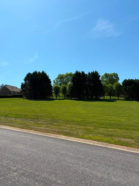 Image number 3 for the current listing