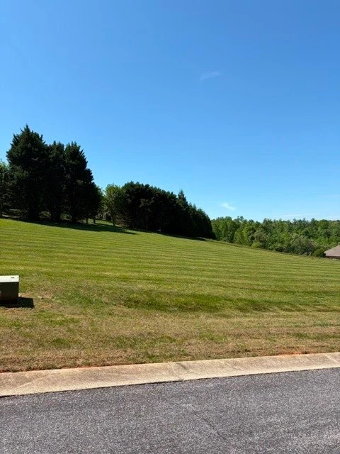 Image number 5 for the current listing