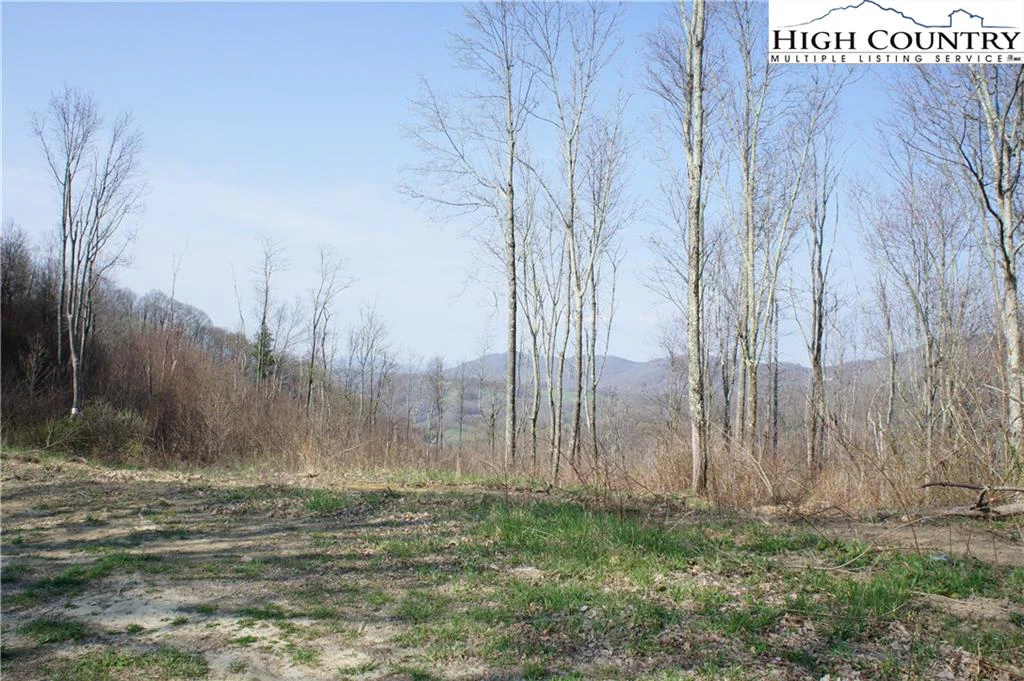 Image number 1 for the current listing