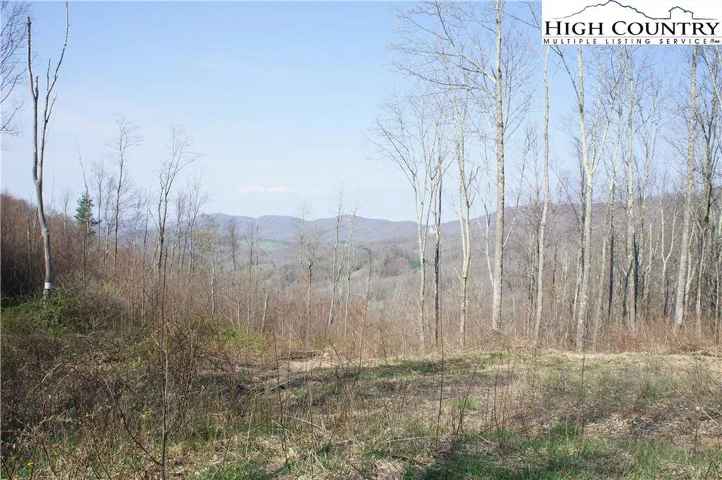 Image number 3 for the current listing
