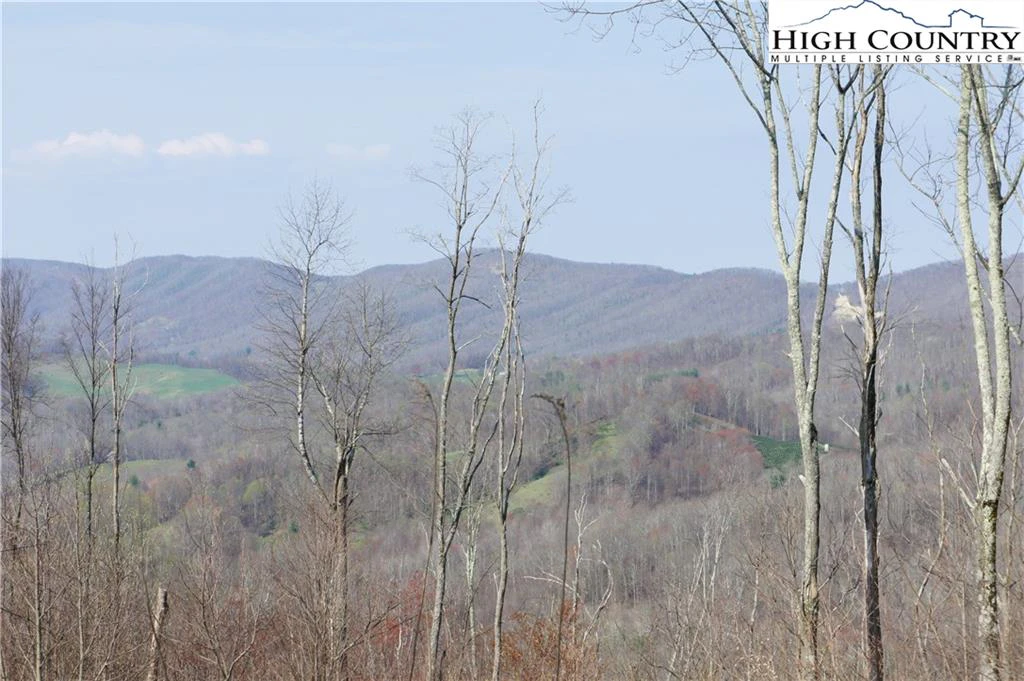Image number 4 for the current listing