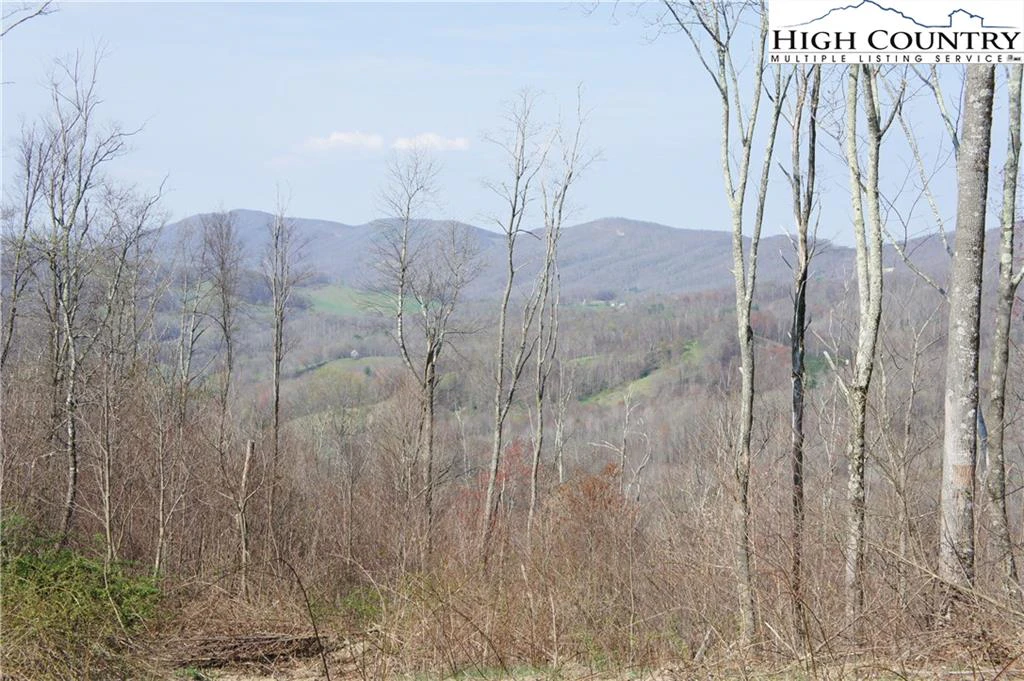 Image number 5 for the current listing