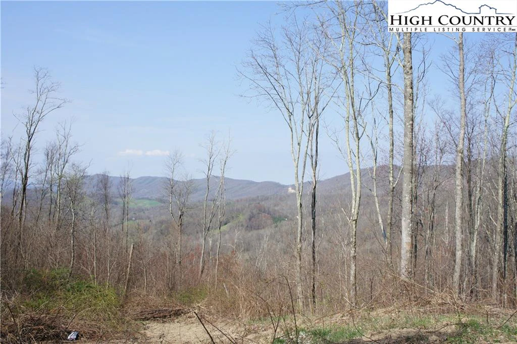 Image number 6 for the current listing