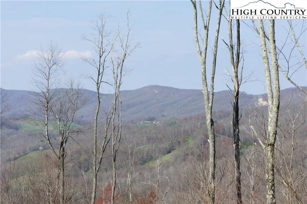 Image number 7 for the current listing
