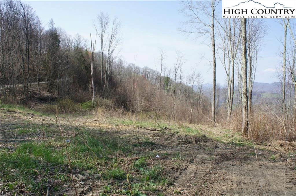 Image number 8 for the current listing