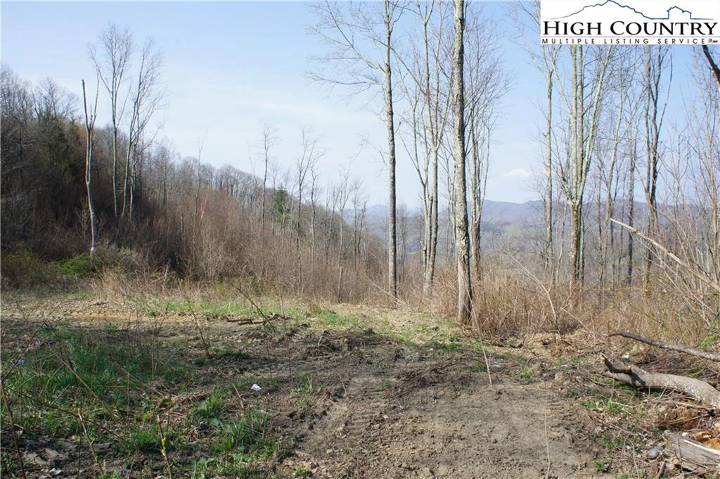 Image number 9 for the current listing