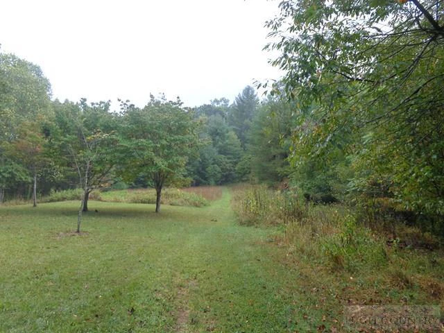 Image number 1 for the current listing