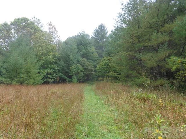 Image number 3 for the current listing