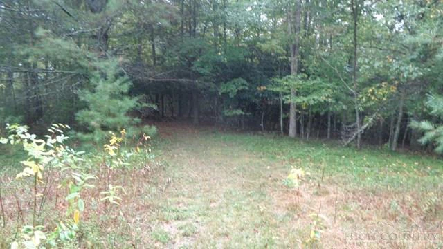 Image number 5 for the current listing