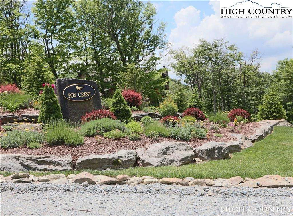 Image number 1 for the current listing