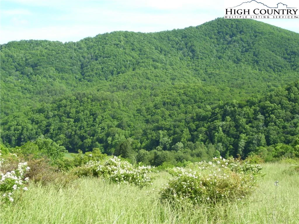 Image number 9 for the current listing