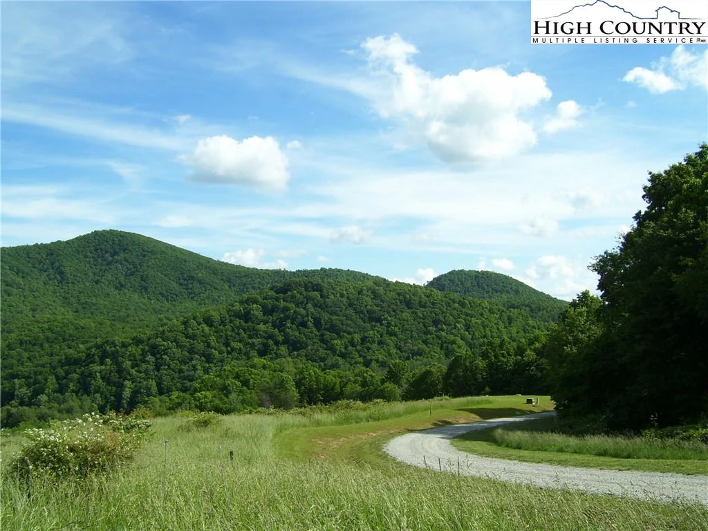 Image number 8 for the current listing