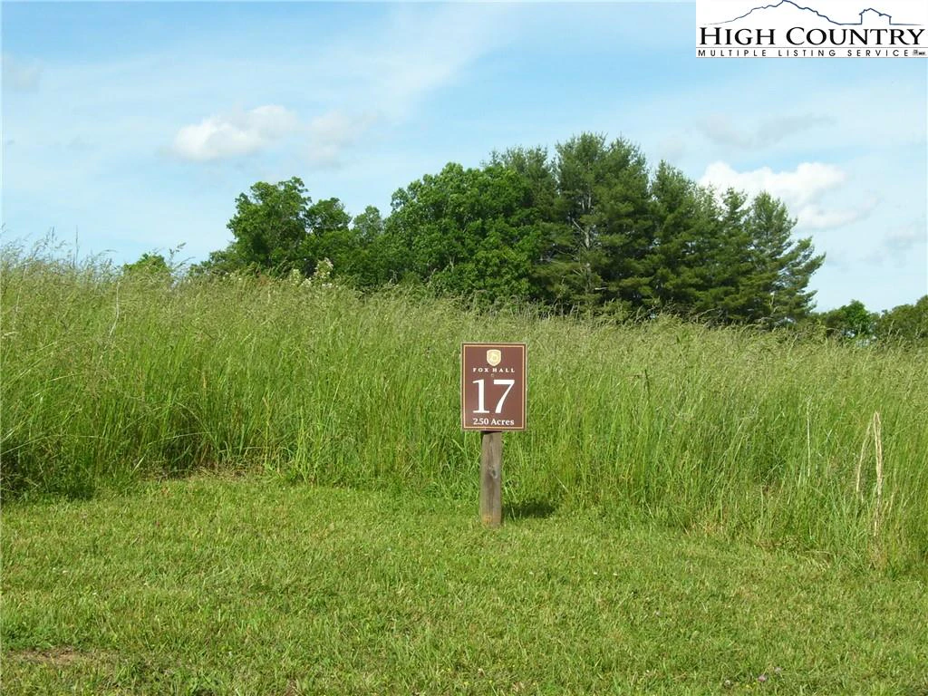 Image number 15 for the current listing
