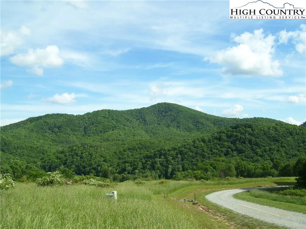 Image number 14 for the current listing