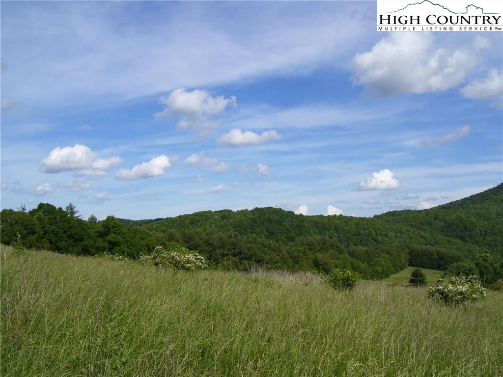 Image number 13 for the current listing