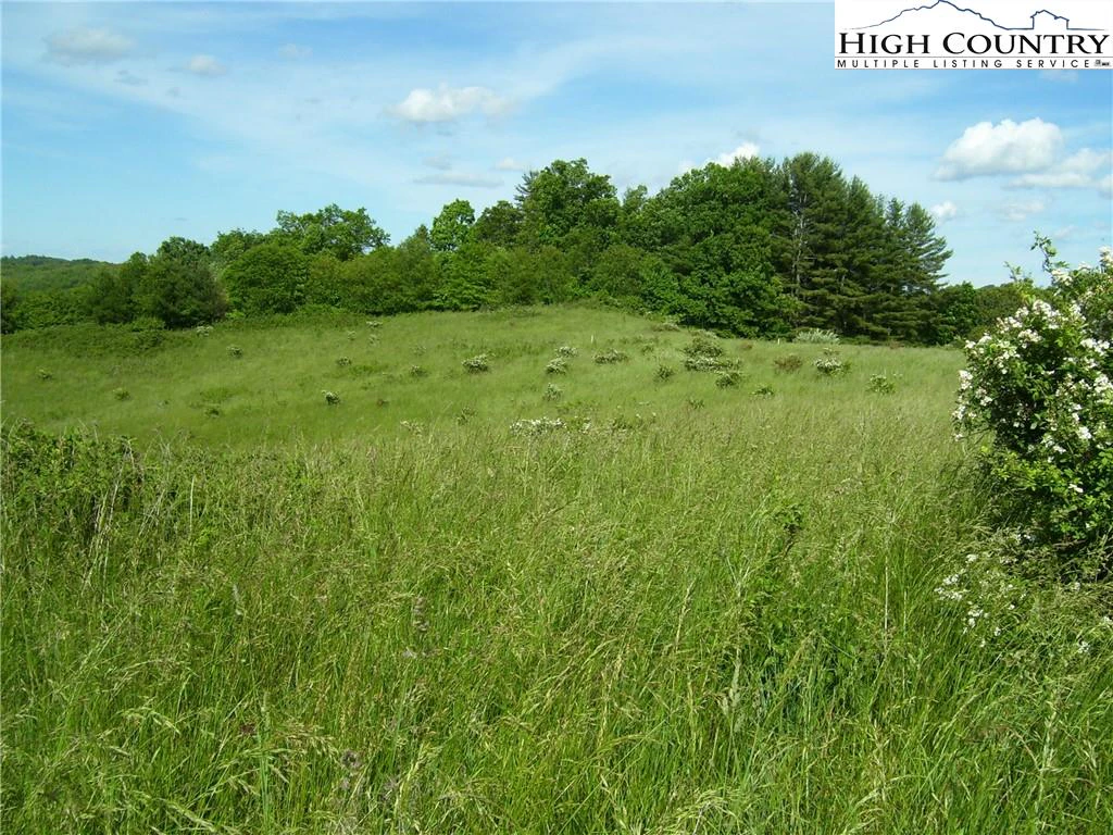 Image number 12 for the current listing