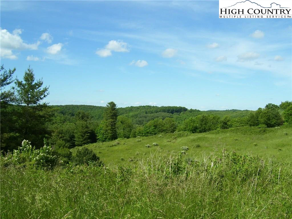 Image number 11 for the current listing
