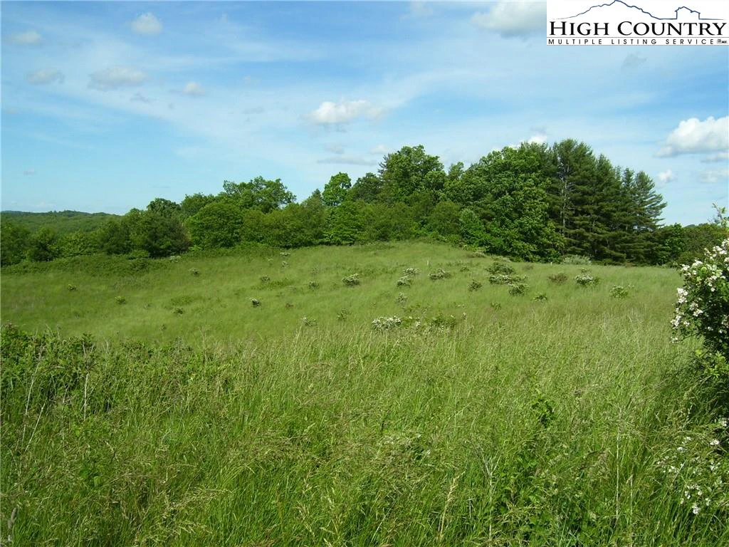 Image number 2 for the current listing