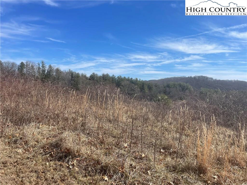 Image number 11 for the current listing
