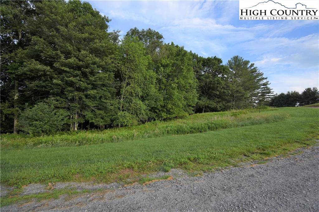 Image number 1 for the current listing