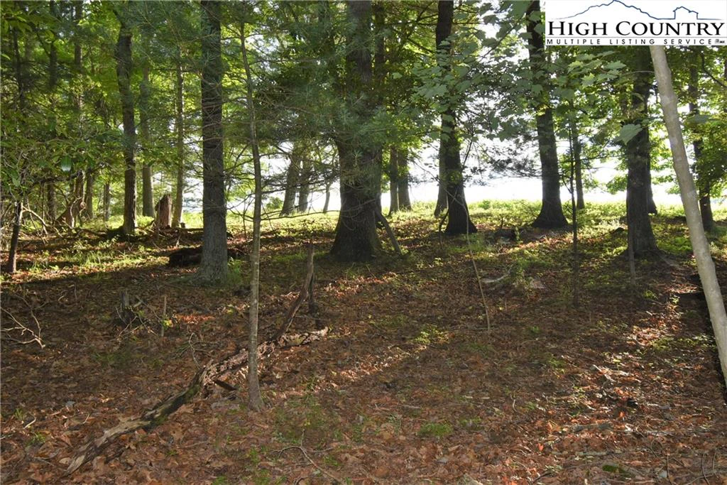 Image number 18 for the current listing