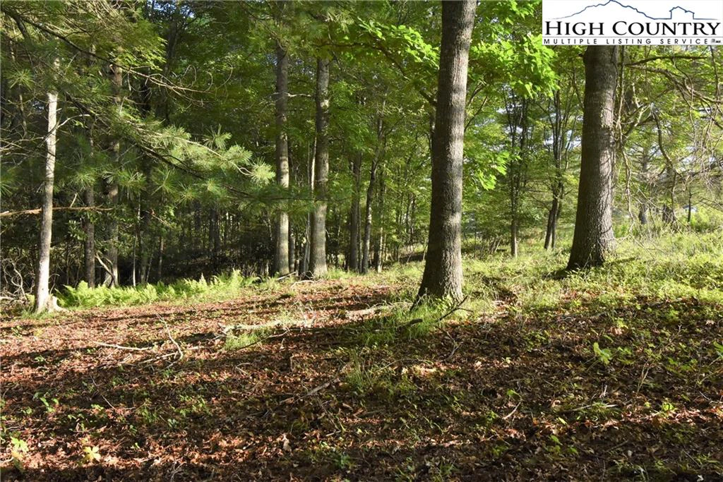 Image number 16 for the current listing