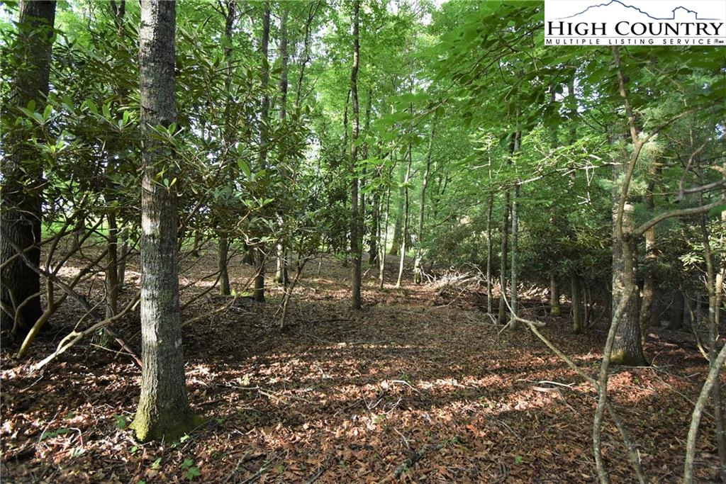 Image number 14 for the current listing