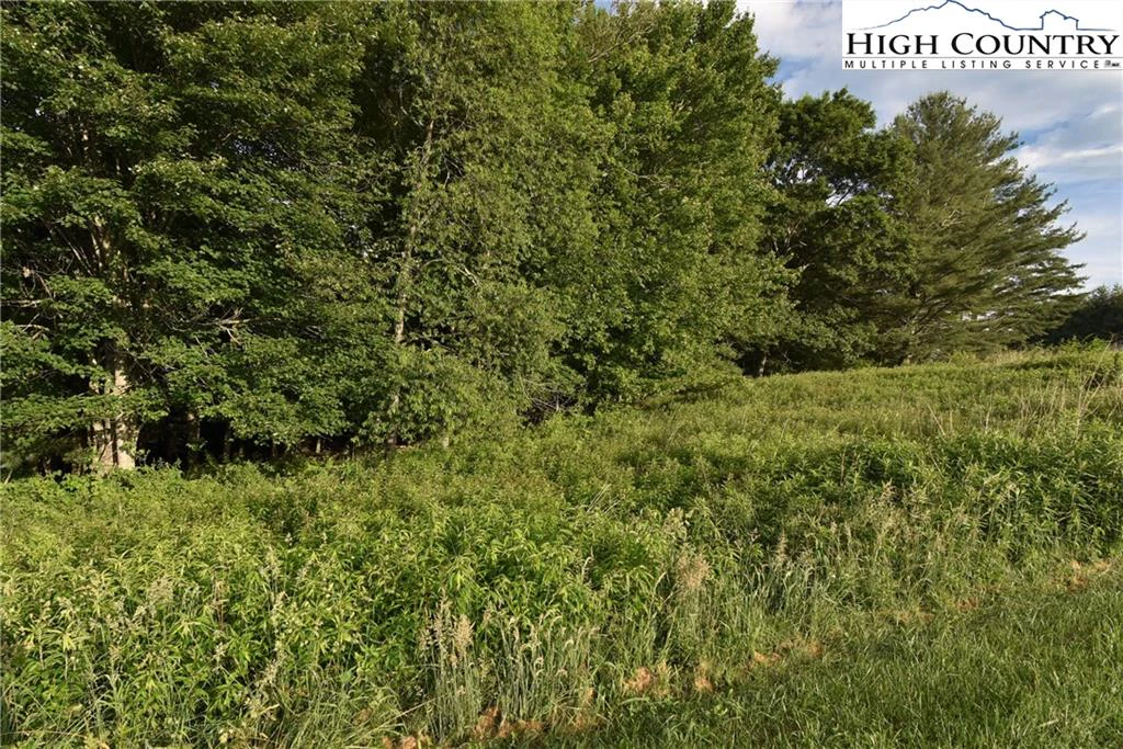 Image number 13 for the current listing
