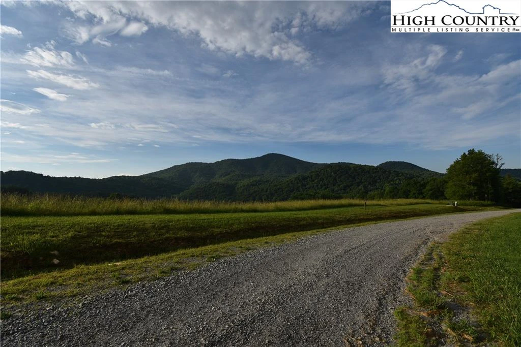 Image number 12 for the current listing