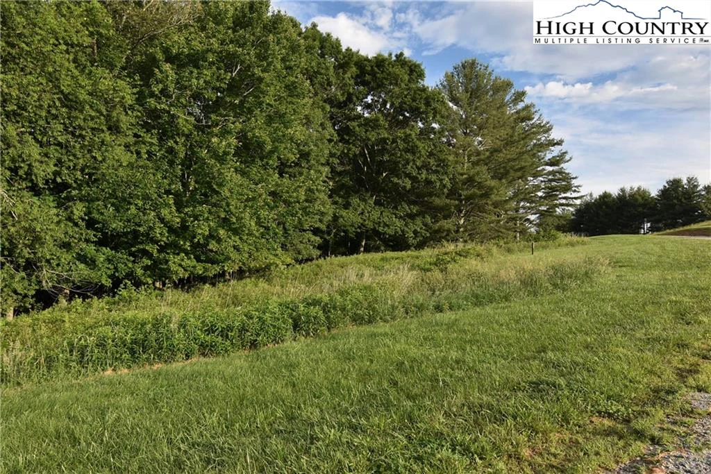 Image number 10 for the current listing