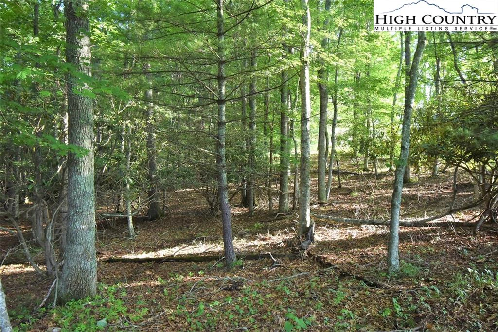 Image number 6 for the current listing