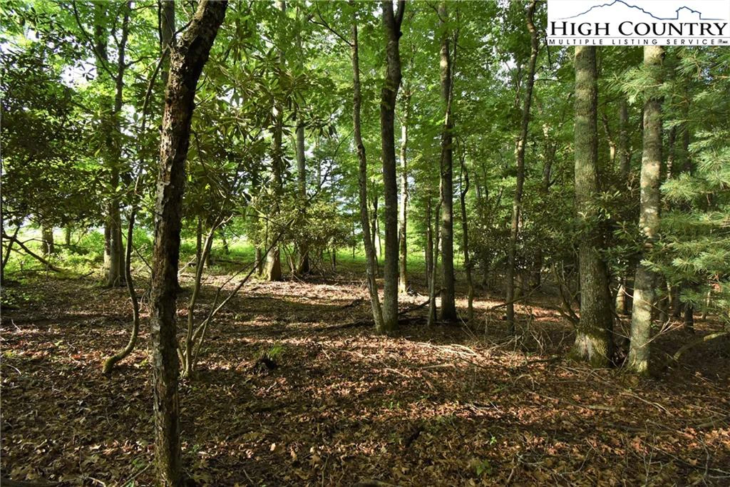 Image number 5 for the current listing