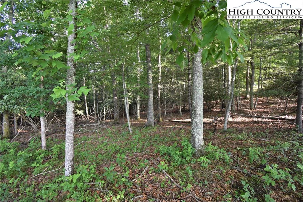 Image number 4 for the current listing