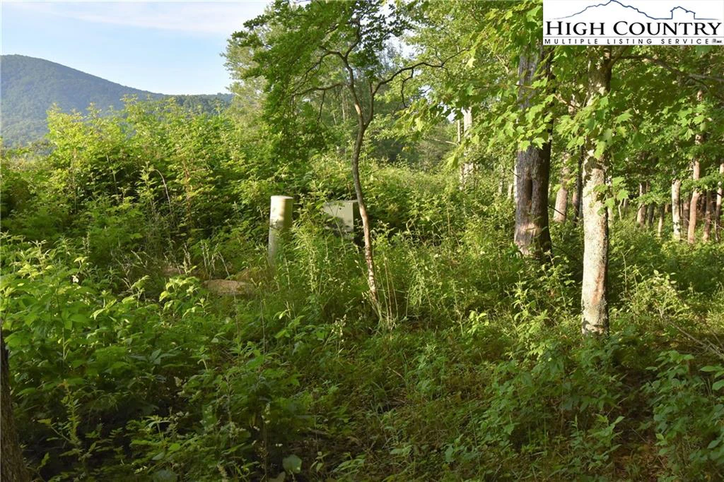 Image number 20 for the current listing