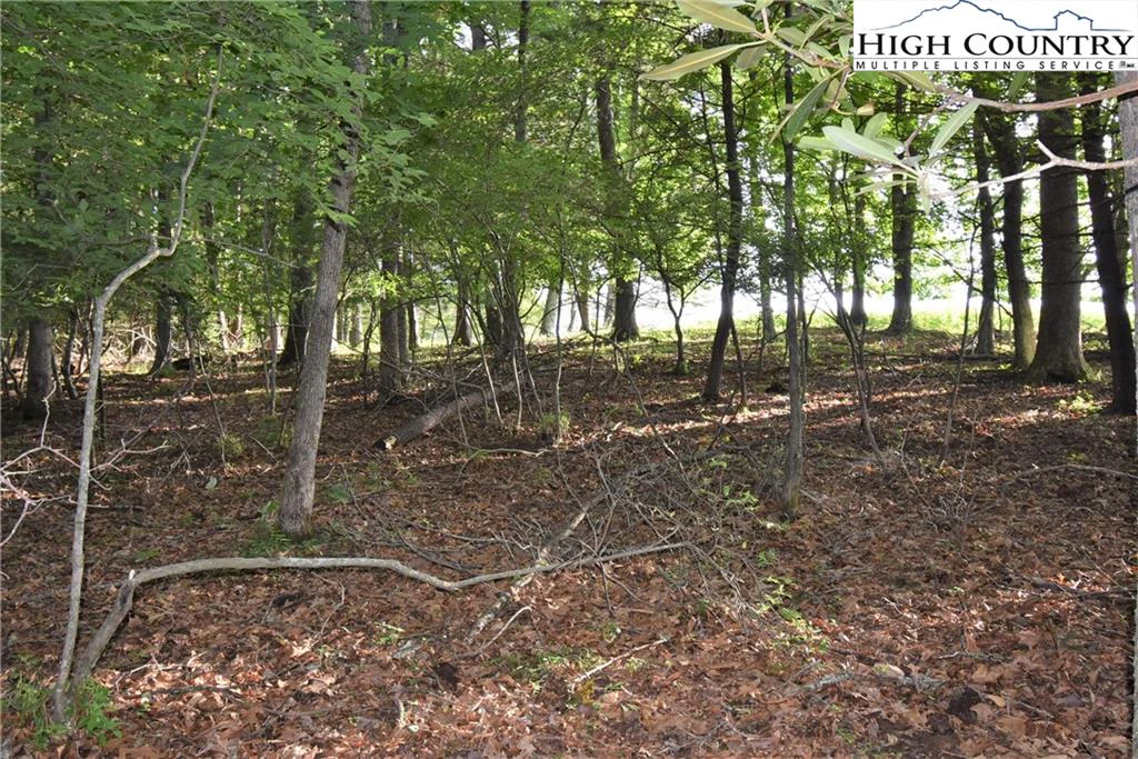Image number 19 for the current listing