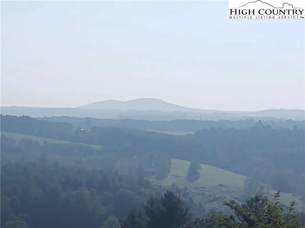 Image number 1 for the current listing