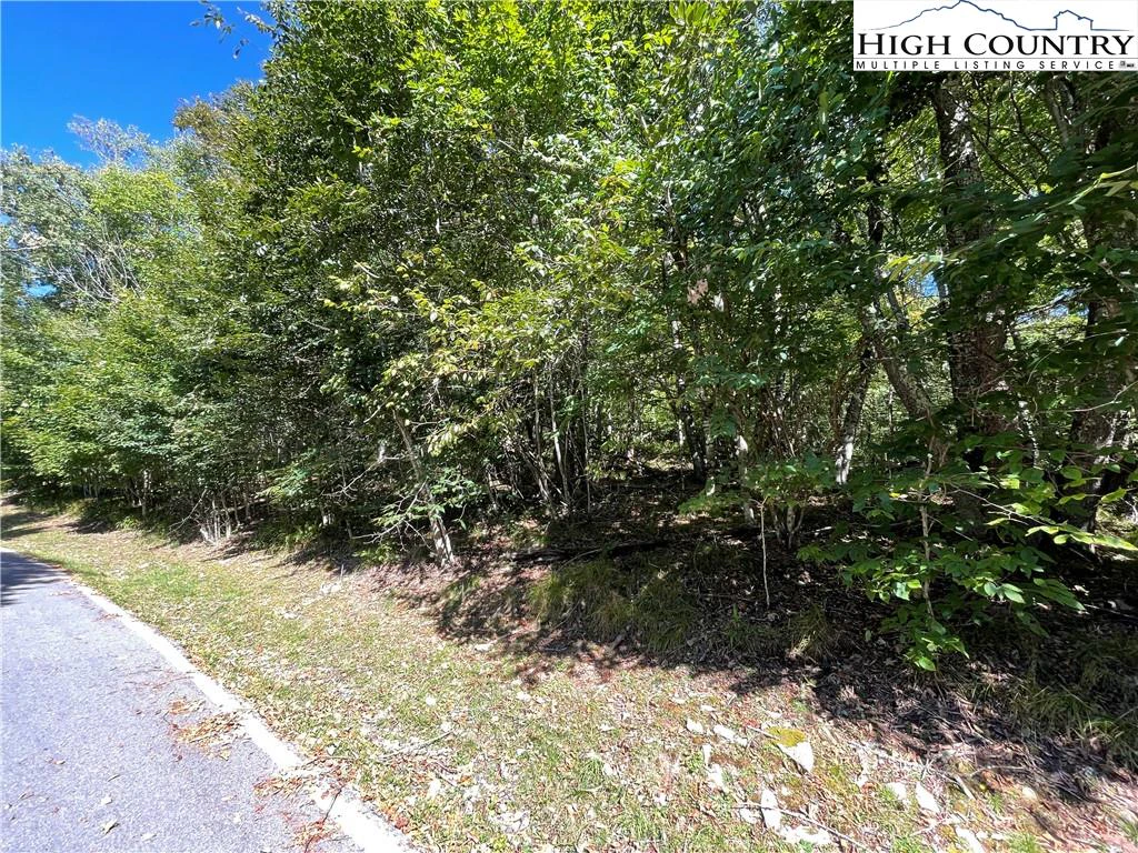 Image number 7 for the current listing