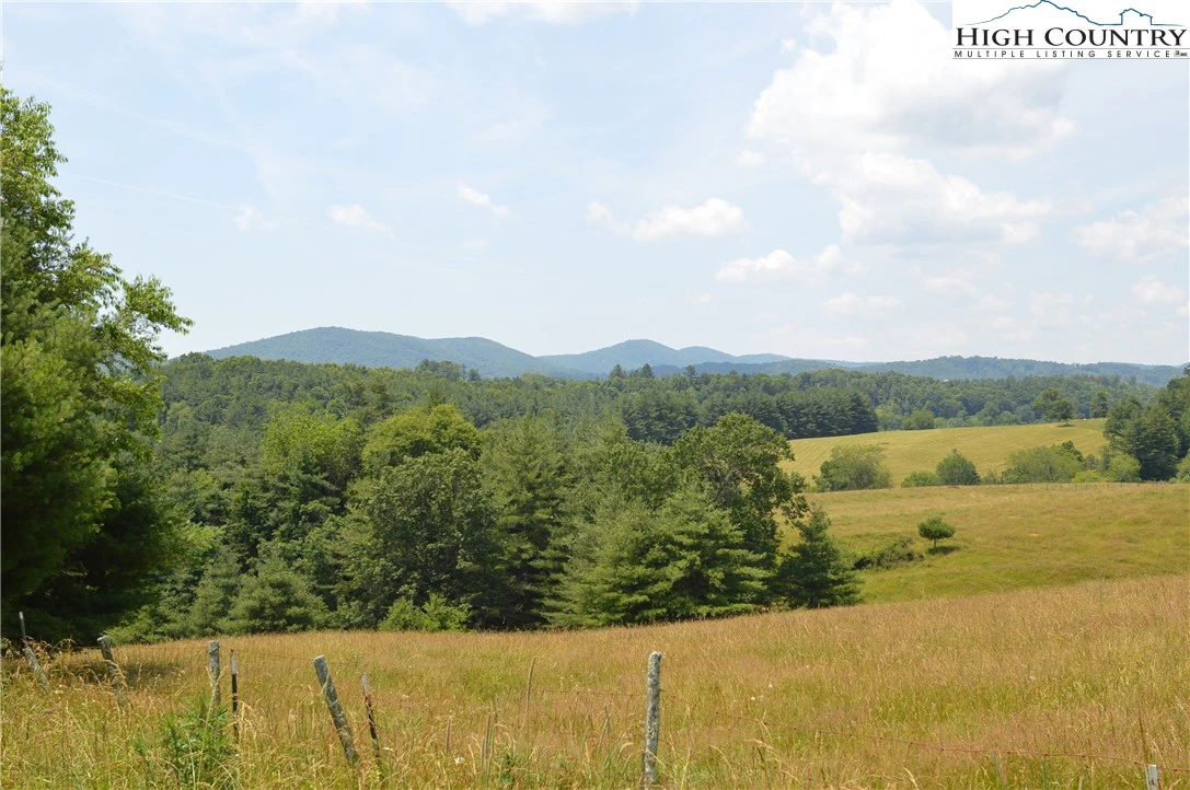 Image number 1 for the current listing
