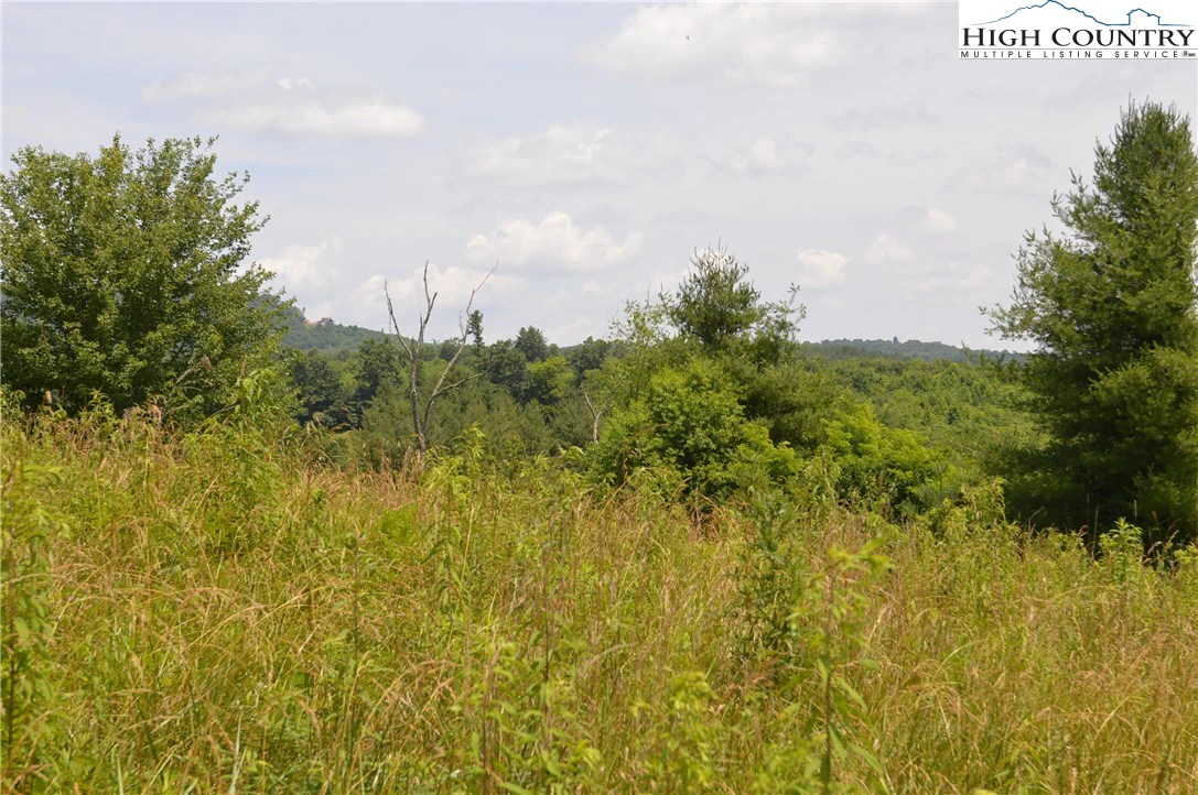 Image number 12 for the current listing