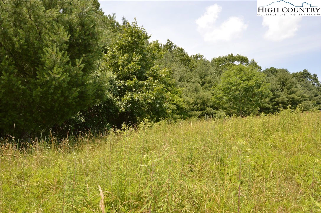 Image number 3 for the current listing