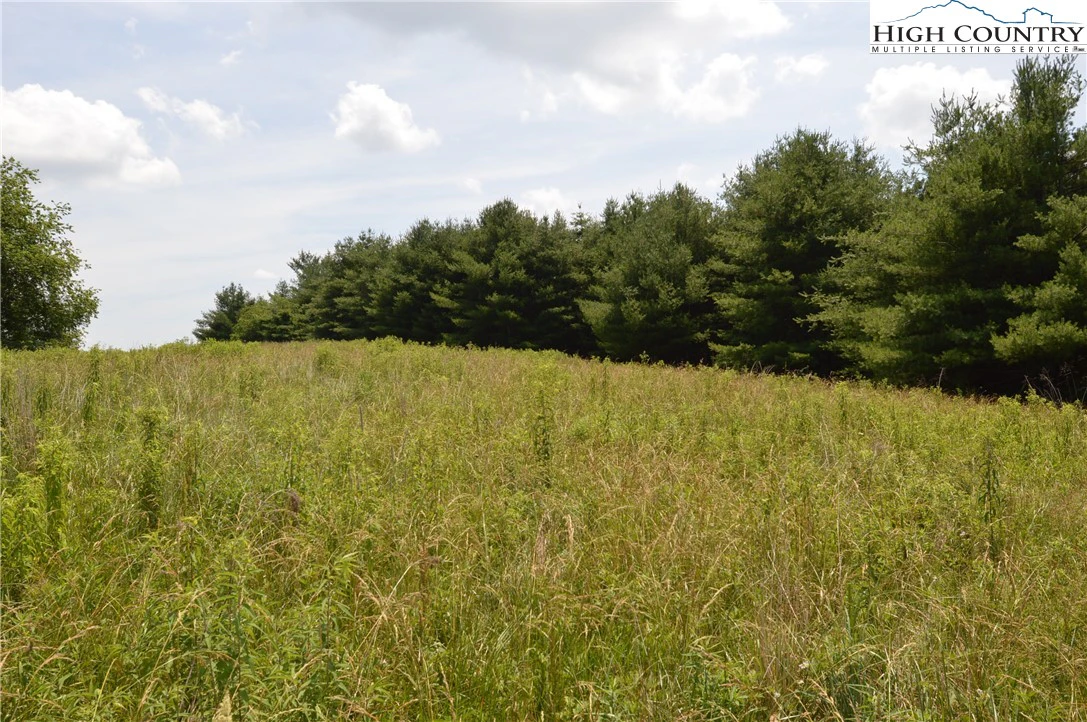Image number 4 for the current listing