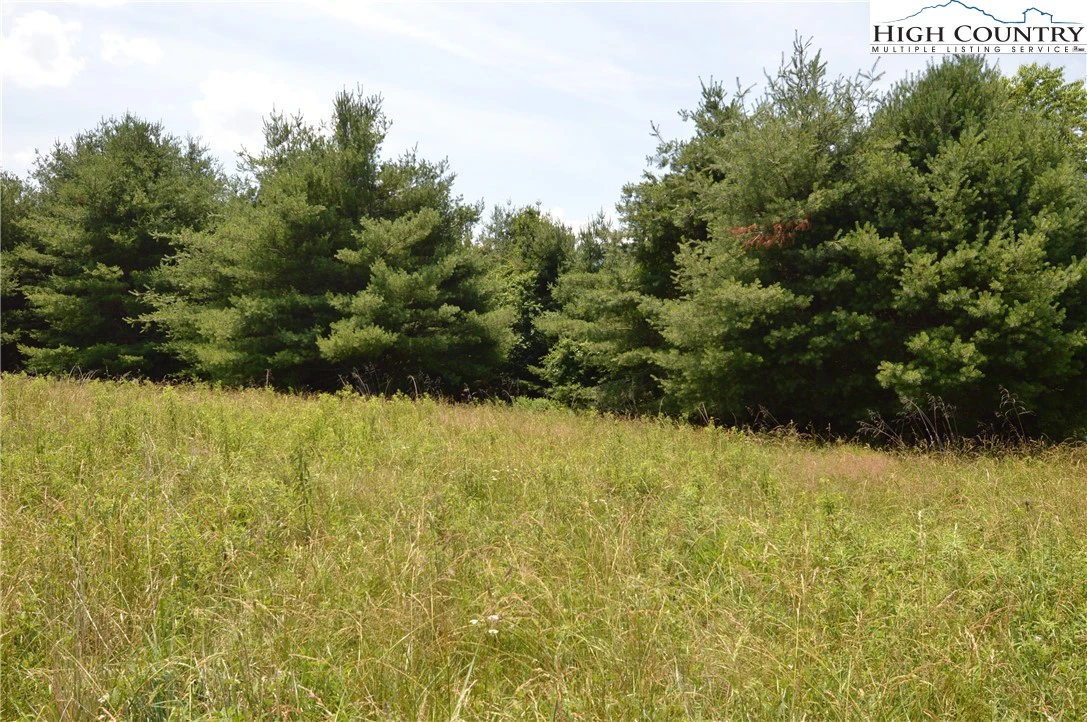 Image number 5 for the current listing