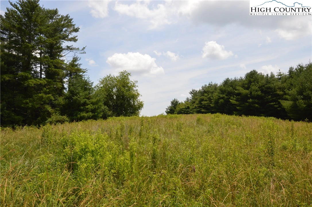 Image number 6 for the current listing