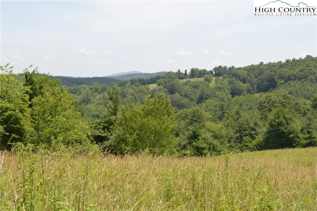 Image number 7 for the current listing